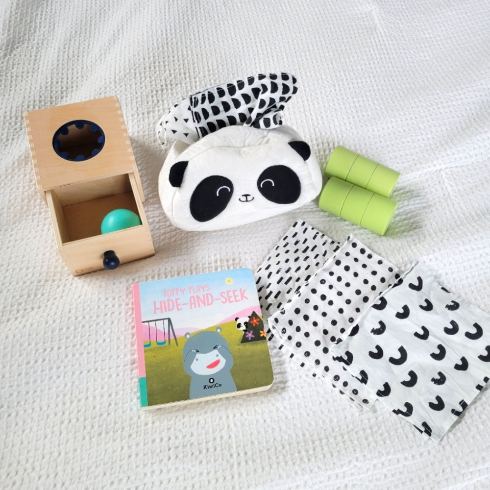 Panda Crate by Kiwi Co.